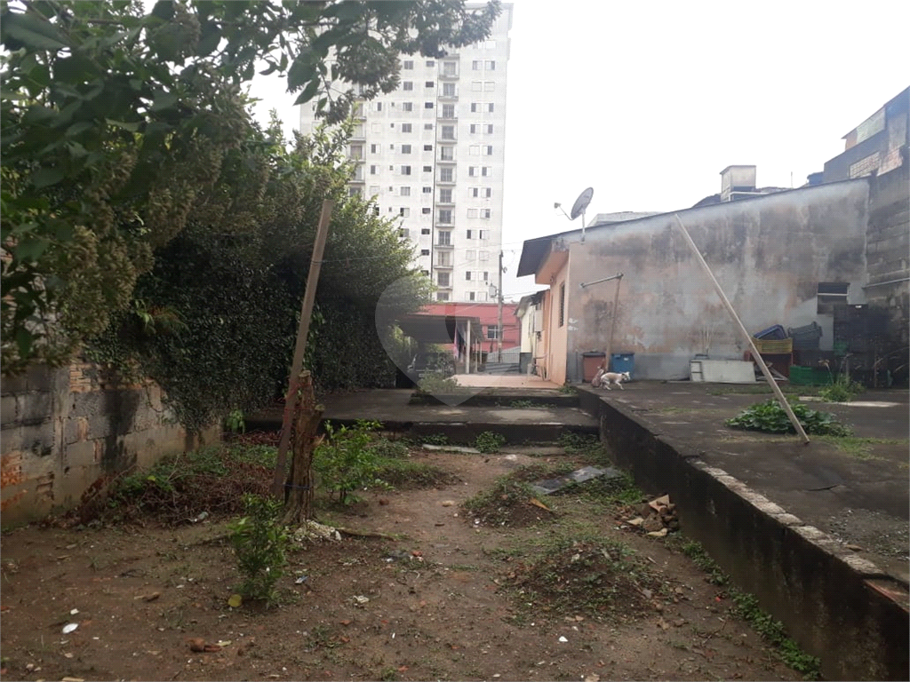 Terreno à venda na Vila Ede