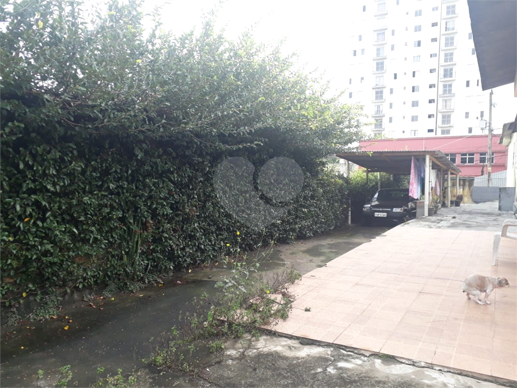 Terreno à venda na Vila Ede