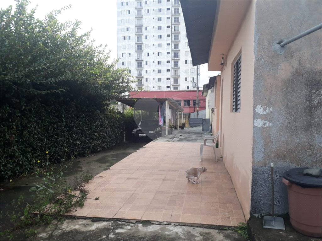 Terreno à venda na Vila Ede