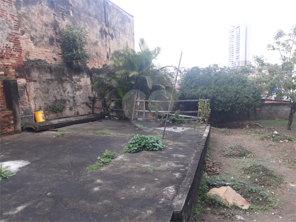Terreno à venda na Vila Ede