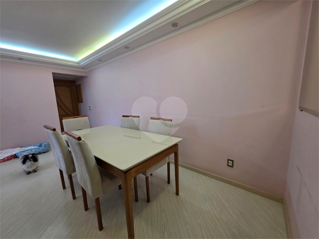 Apartamento Santa Teresinha / 02 Dormitórios