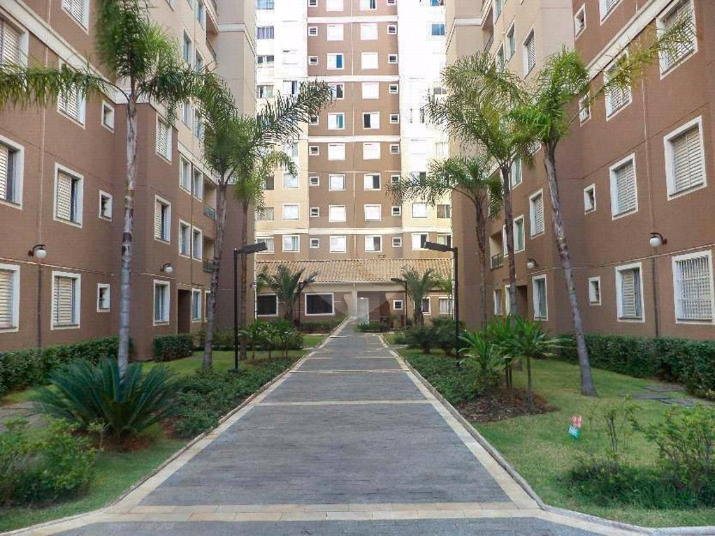 Apartamento Cobertura So Paulo  JARDIM ARICANDUVA  