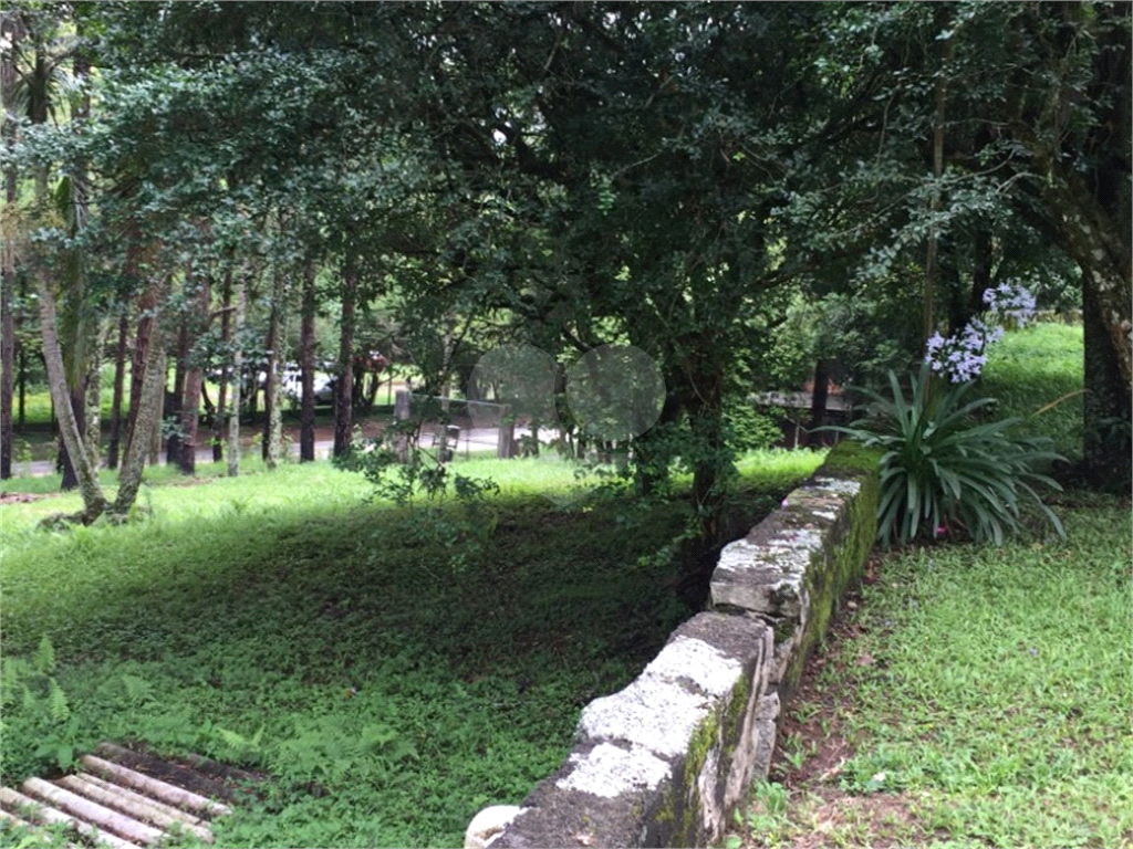 TERRENO em TERRA PRETA (TERRA PRETA)