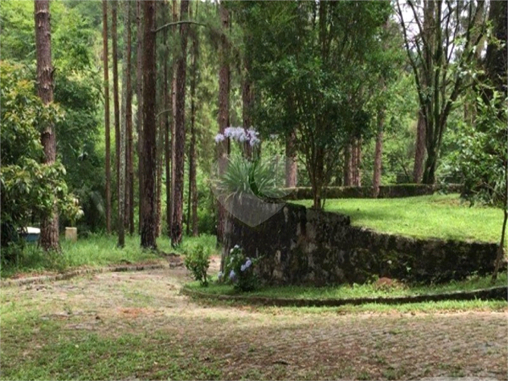 TERRENO em TERRA PRETA (TERRA PRETA)