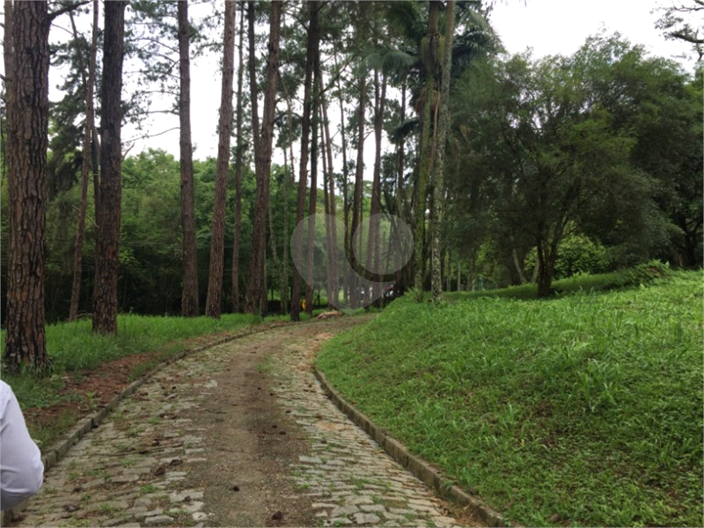 TERRENO em TERRA PRETA (TERRA PRETA)