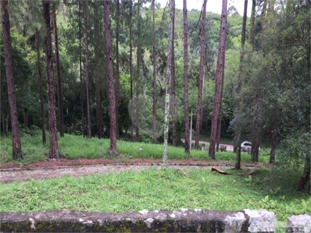 TERRENO em TERRA PRETA (TERRA PRETA)