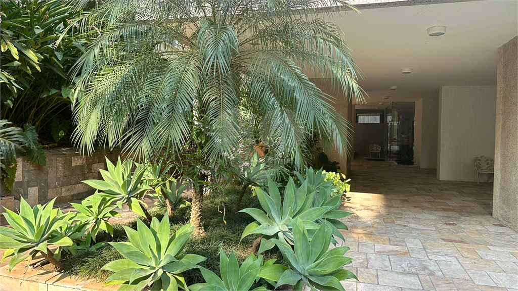 Amplo Apartamento na Bela Vista - 3 amplos dormitórios