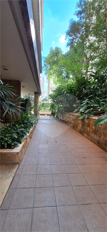 Amplo Apartamento na Bela Vista - 3 amplos dormitórios