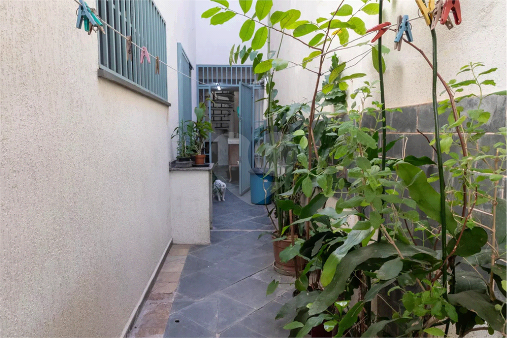 Casa, 4 quartos, 398 m² - Foto 21