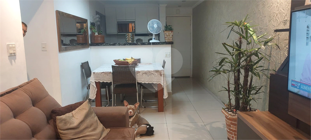 Apartamento para venda  com 2 dormitorios no Bairro do Jaçanã