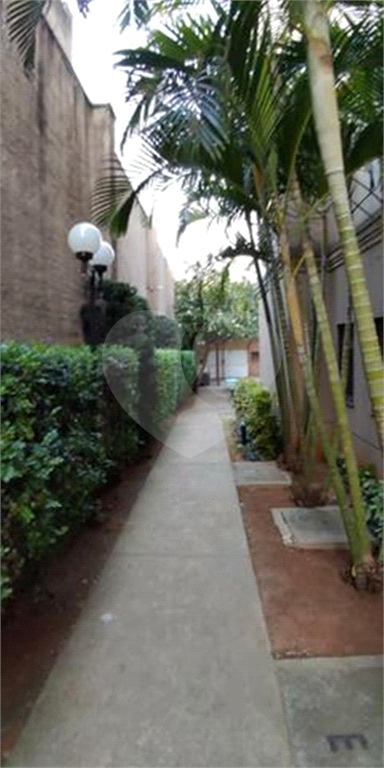 APARTAMENTO em BOM RETIRO