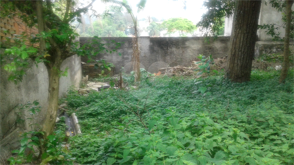 Terreno a venda no bairro Vila Irmaos Arnoni