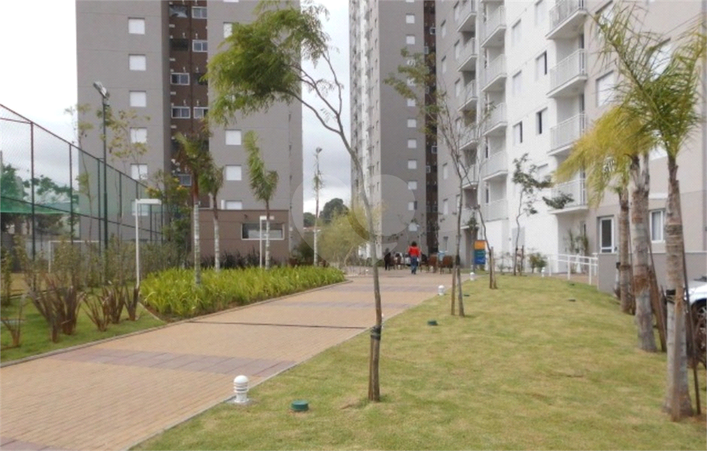 Apartamento em Jardim Belaura