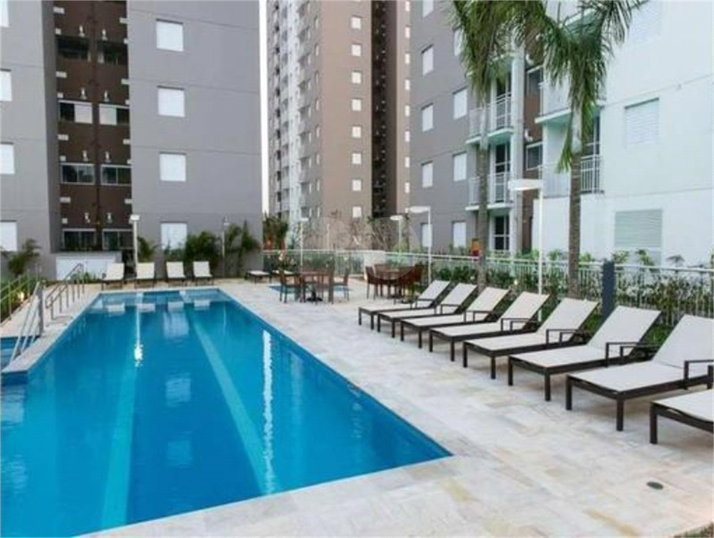 Apartamento em Jardim Belaura