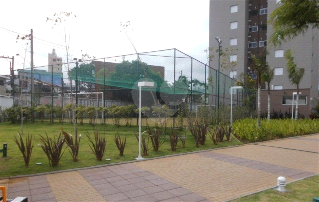 Apartamento em Jardim Belaura