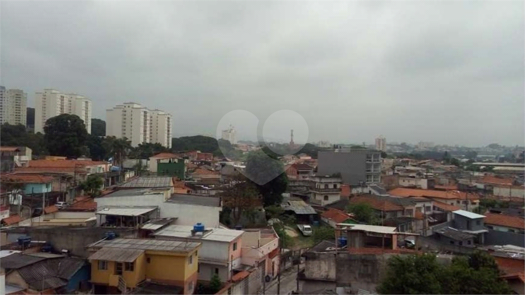 Apartamento em Jardim Belaura