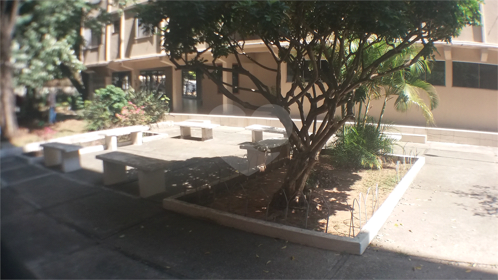 Apartamento  vago na Palmas do Tremembé