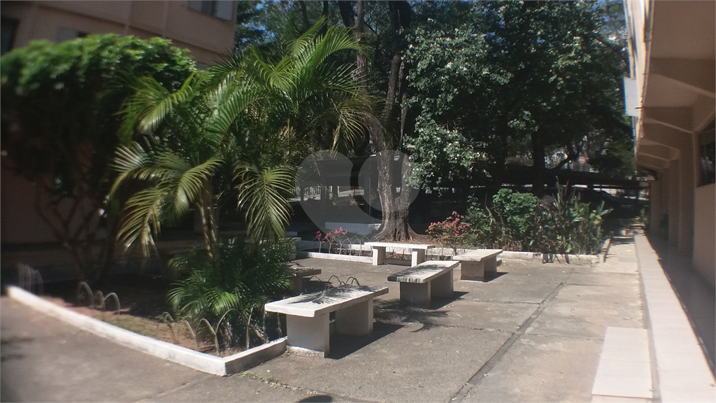 Apartamento  vago na Palmas do Tremembé