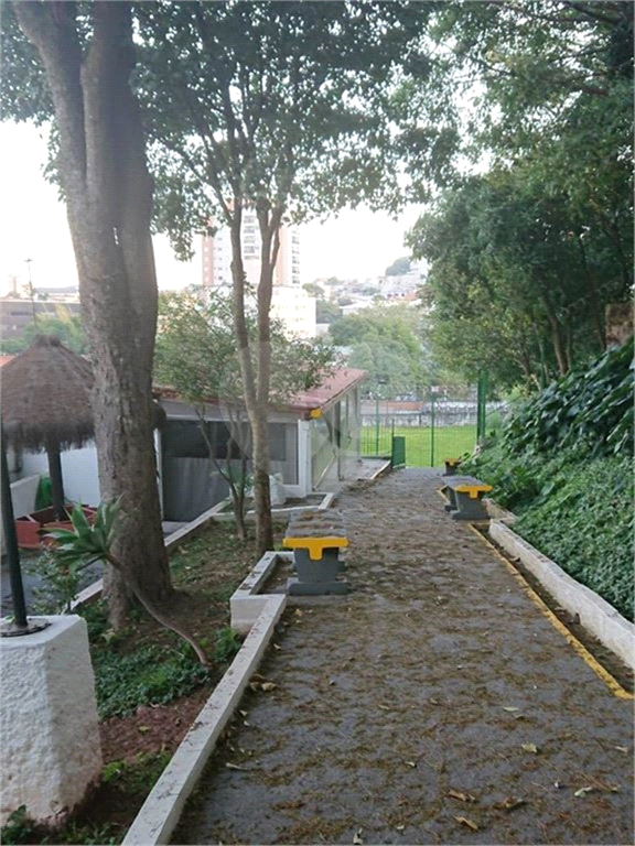 Apartamento no Parque do Mandaqui com 3 dormitórios. 5 minutos para Horto Florestal