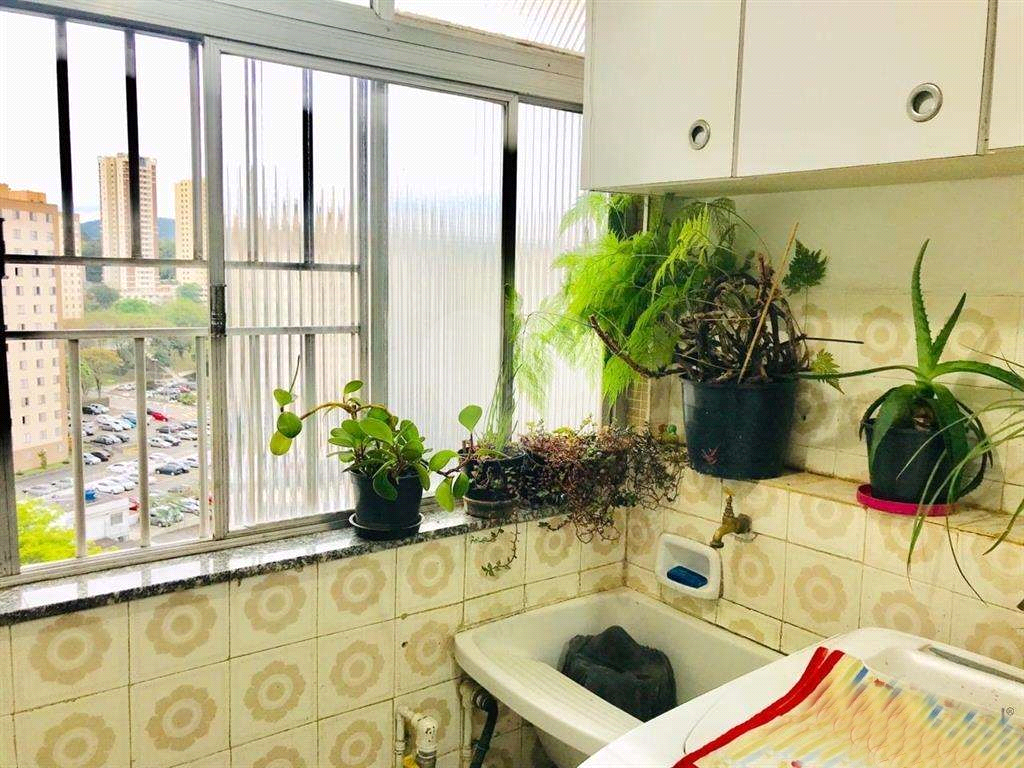 Apartamento no Parque do Mandaqui com 3 dormitórios. 5 minutos para Horto Florestal