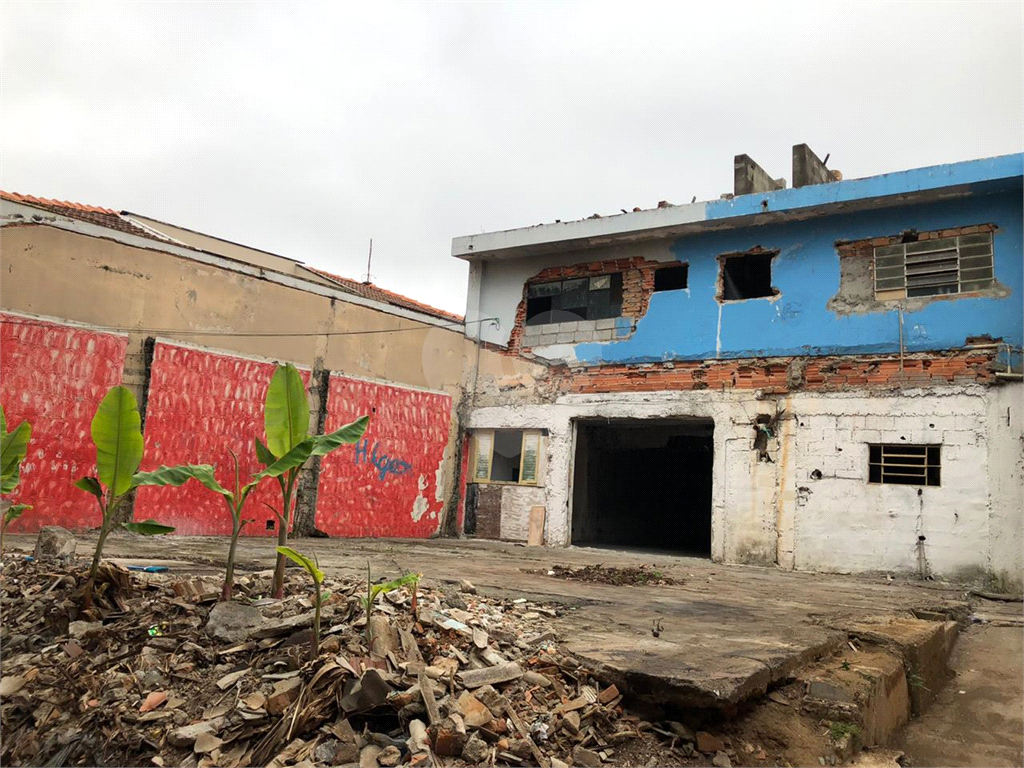 TERRENO em LAPA