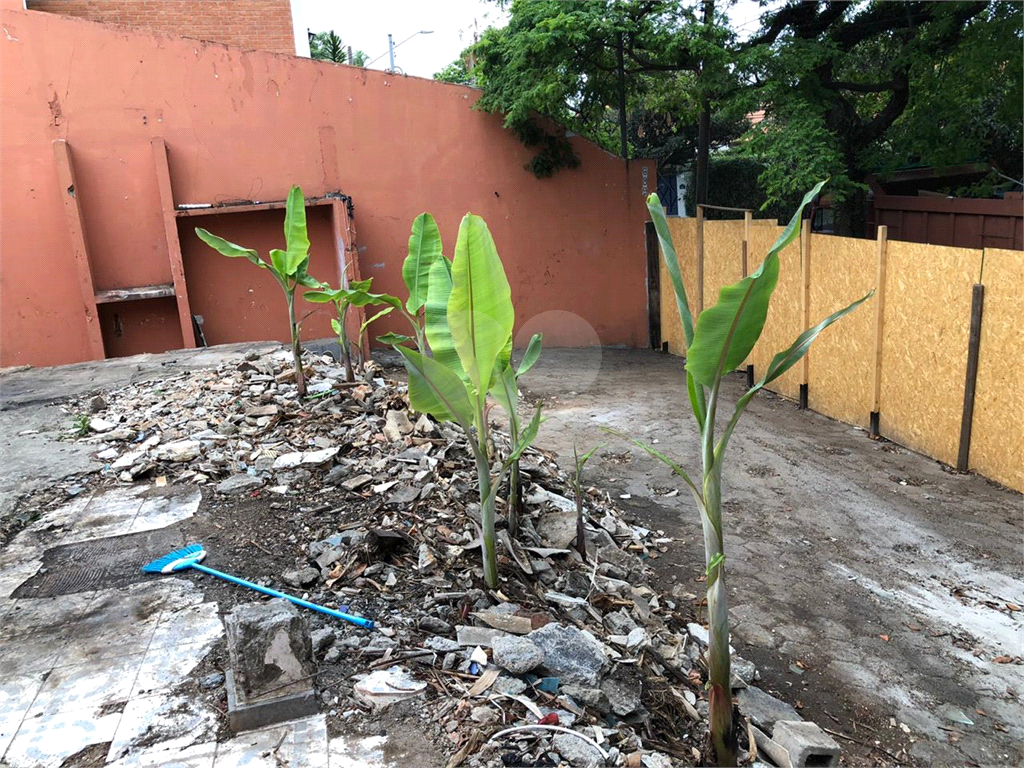 TERRENO em LAPA