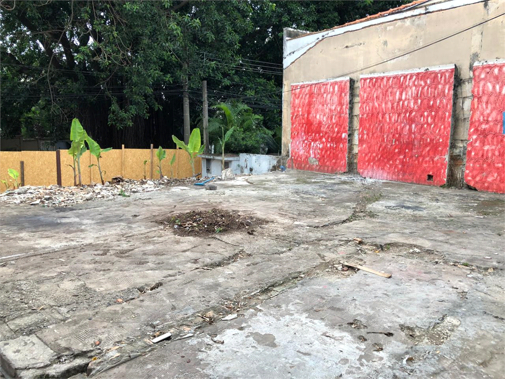 TERRENO em LAPA