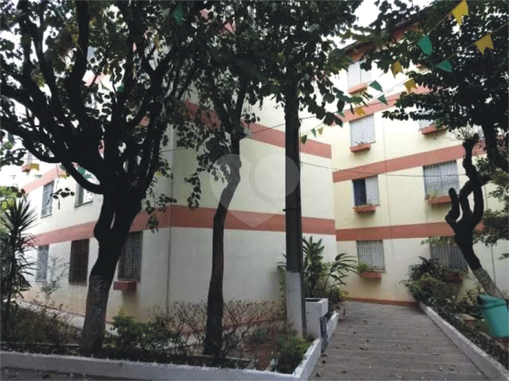 Apartamento Vila Nova Cachoeirinha 