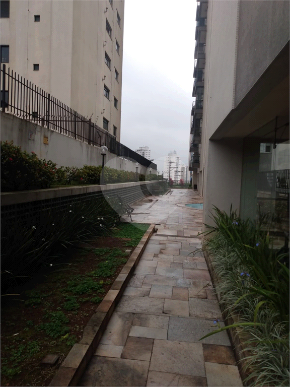 Apartamento na Água Fria, com 3 dormitórios, 1 vaga fixa, excelente localização.