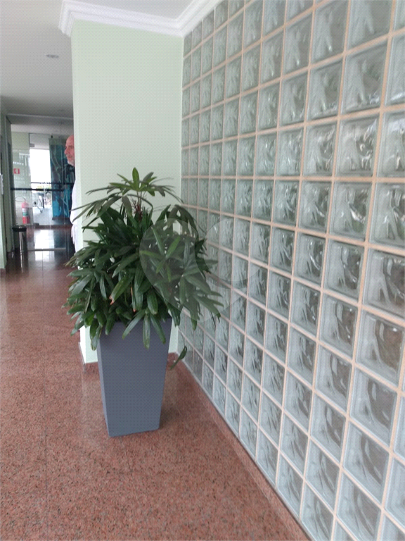 Apartamento na Água Fria, com 3 dormitórios, 1 vaga fixa, excelente localização.