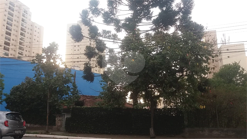 Terreno – Tucuruvi – 1100 m2 . Frente 22,30 metros – a 200 metros do ASSAI - na Av. Cel Sezefredo  