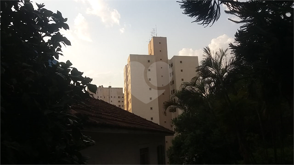 Terreno – Tucuruvi – 1100 m2 . Frente 22,30 metros – a 200 metros do ASSAI - na Av. Cel Sezefredo  