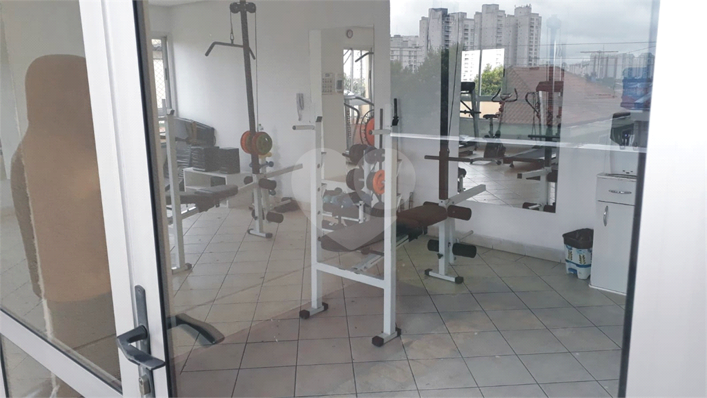 Apartamento Limão