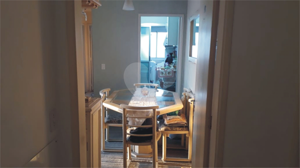 Apartamento Limão