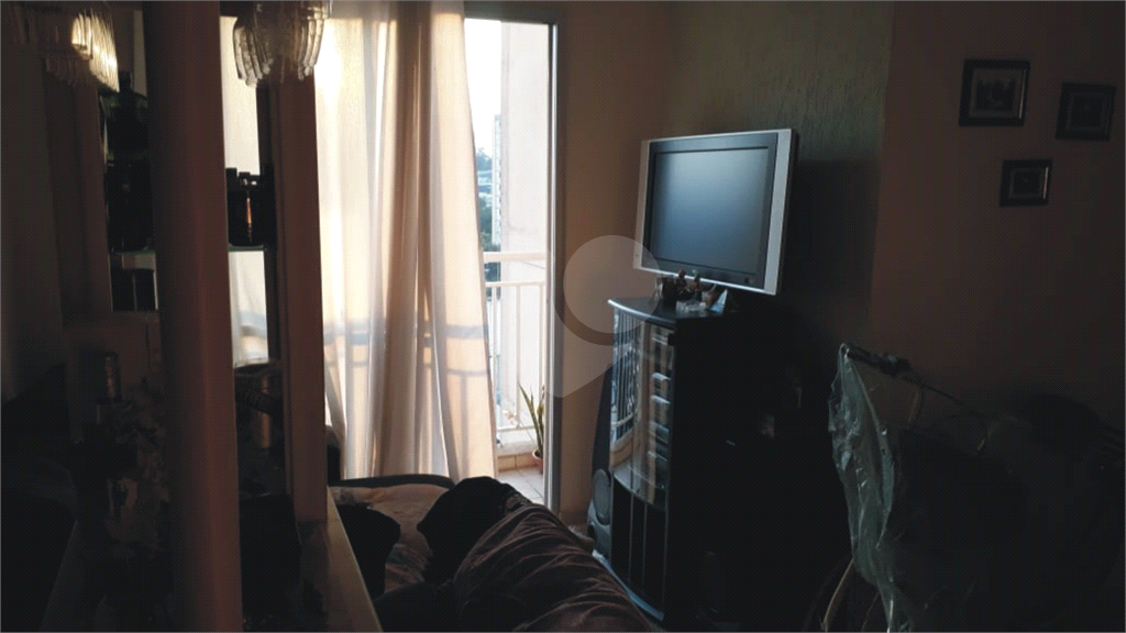 Apartamento Limão