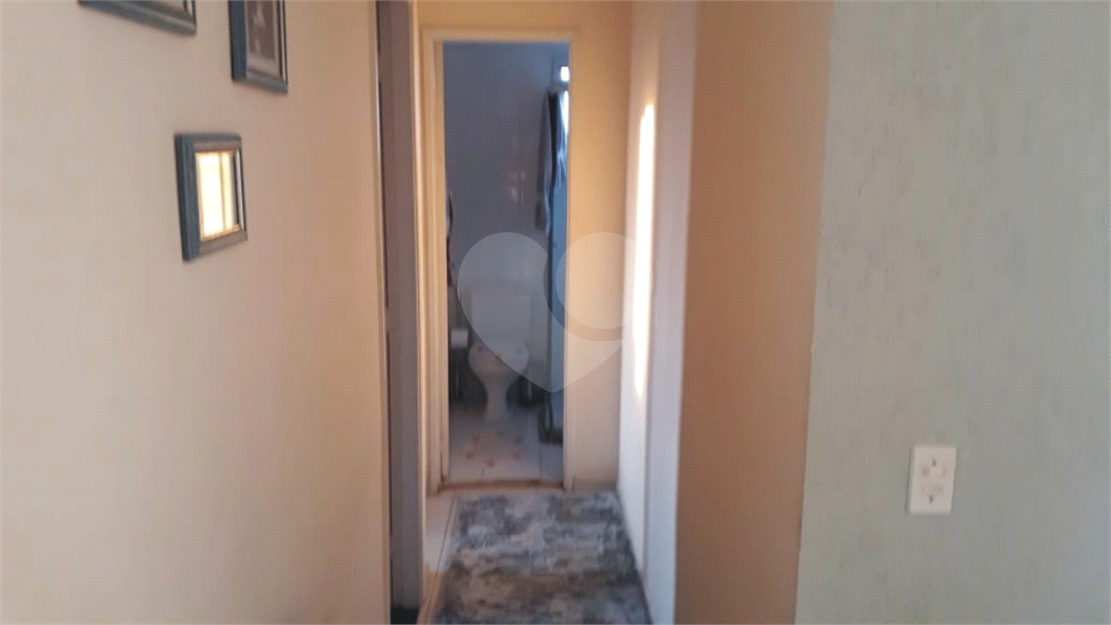 Apartamento Limão