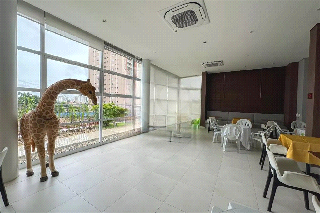 Apartamento Alto da Lapa 