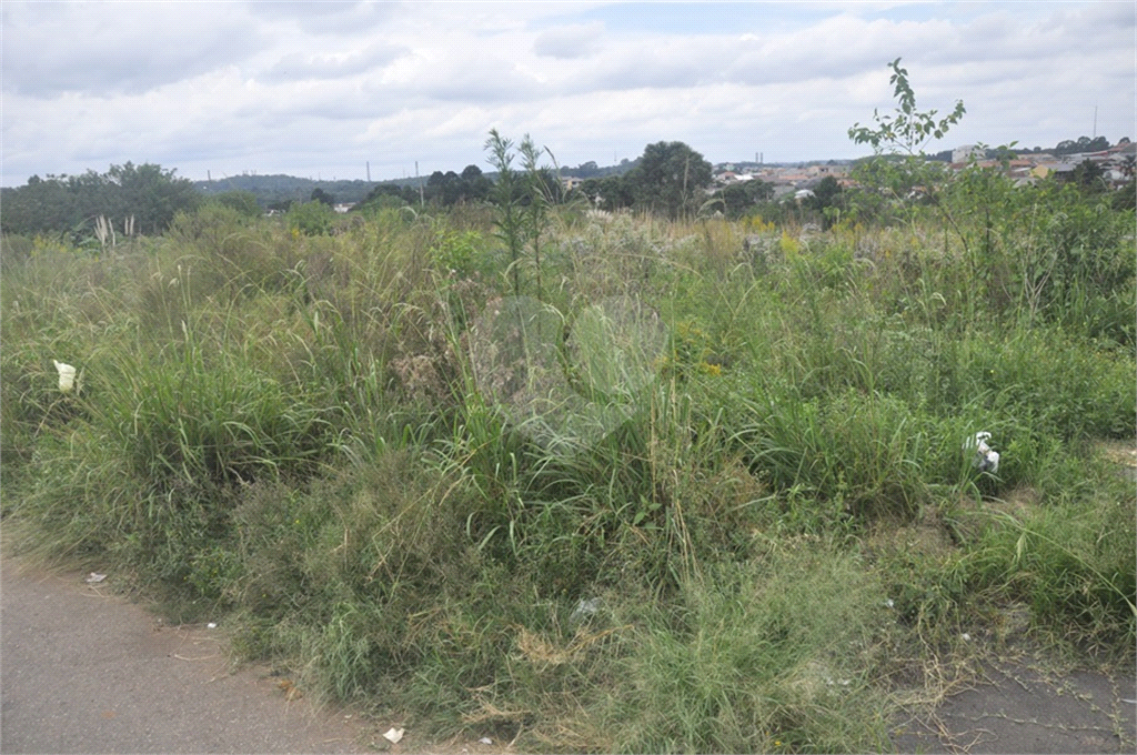 Terreno no  bairro do Tremembé. Com casas alto padrão