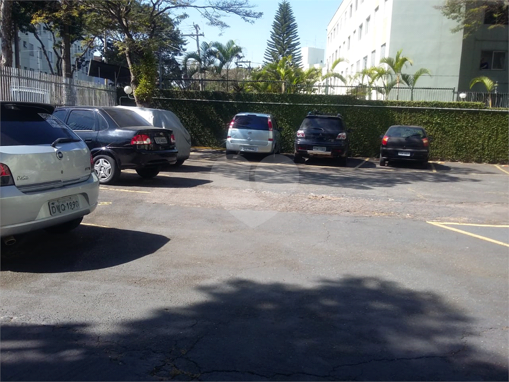 APARTAMENTO / VILA AMALIA