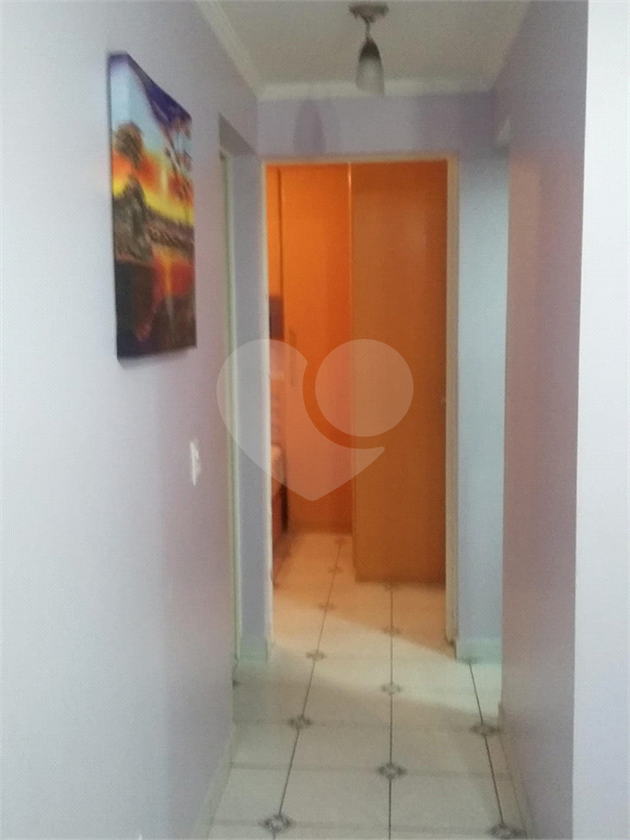 APARTAMENTO / VILA AMALIA