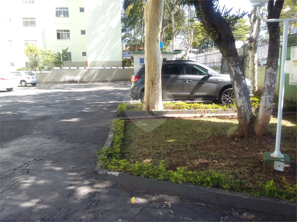 APARTAMENTO / VILA AMALIA