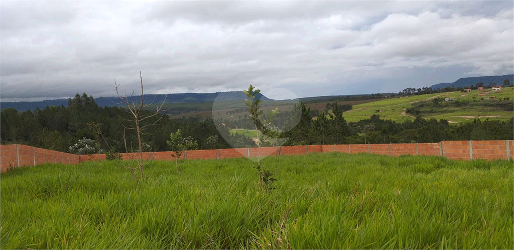 TERRENO em CENTRO
