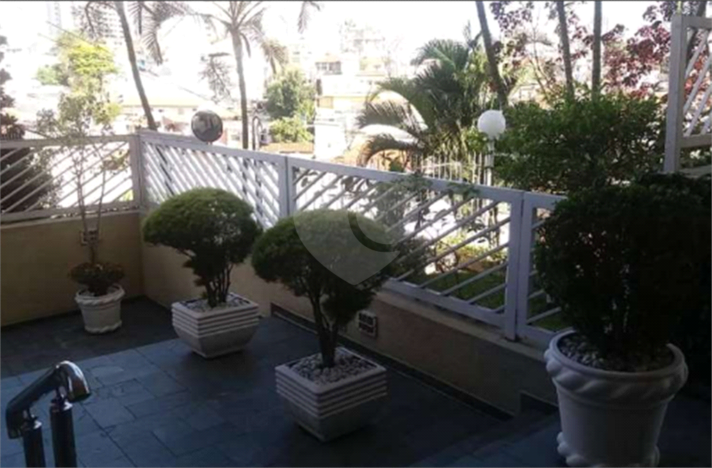  Apartamento Padrão - Mandaqui Zona Norte -SP