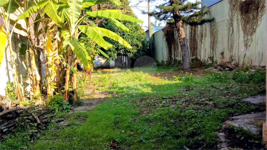 Terreno