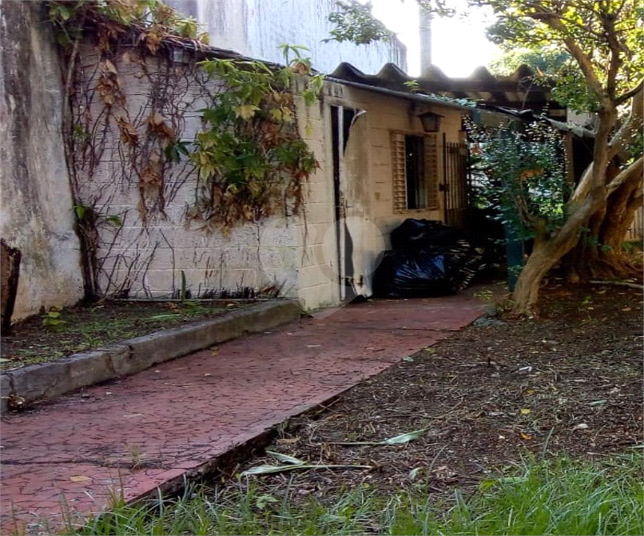 Terreno
