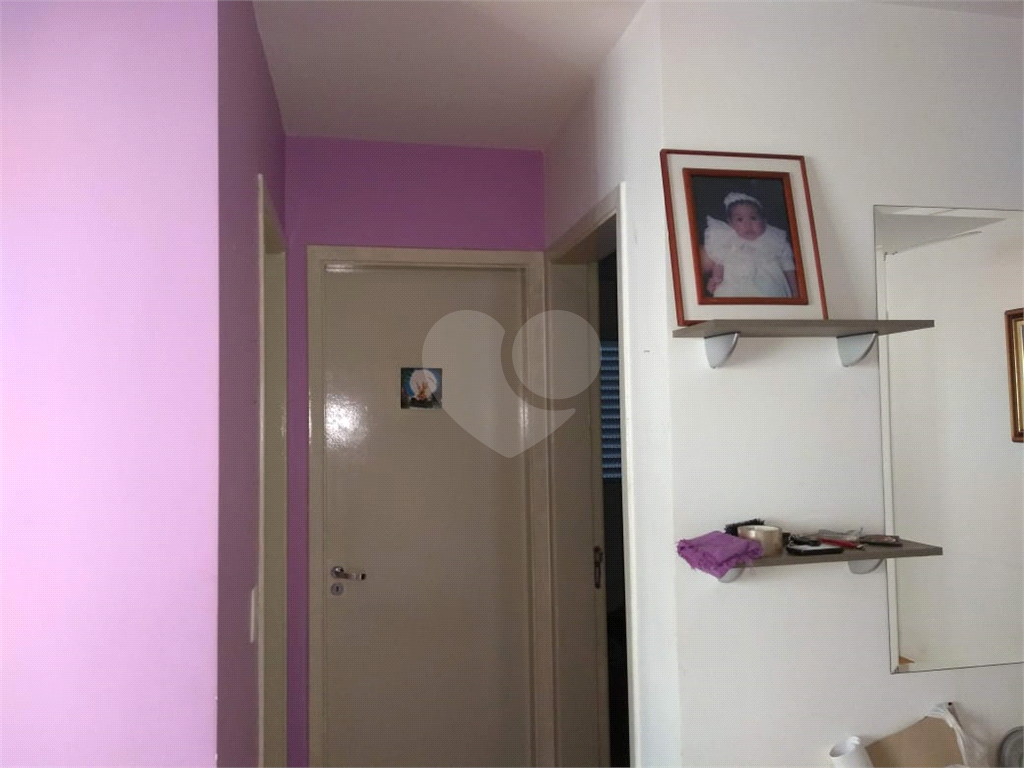 Apartamento Limão