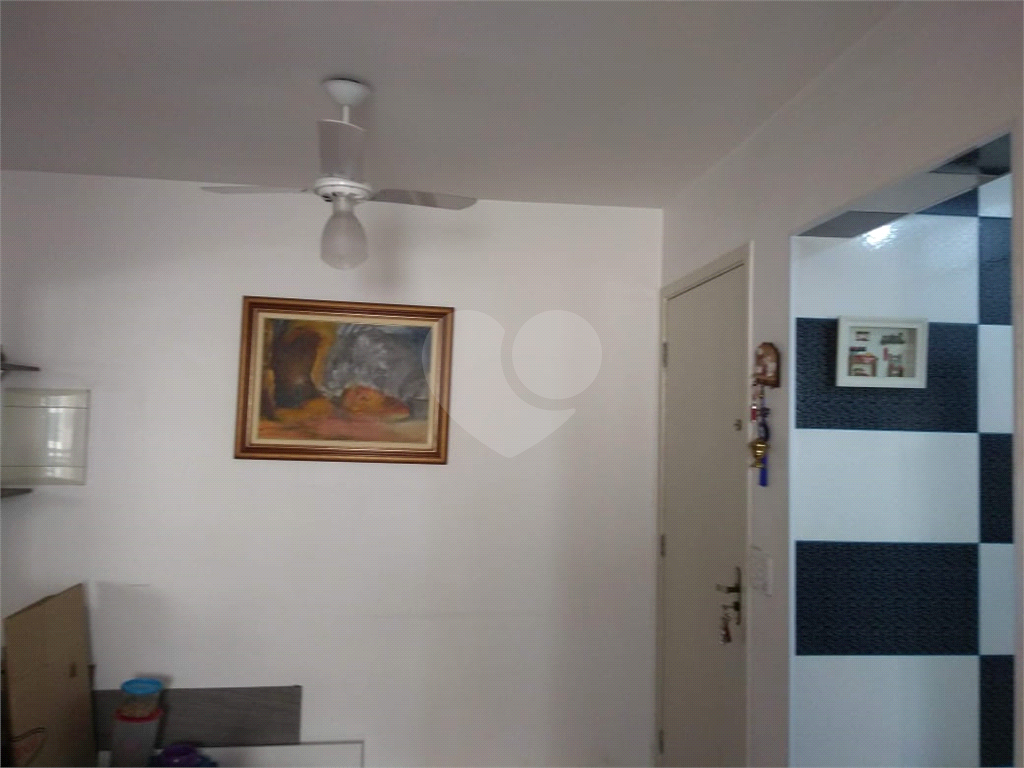 Apartamento Limão