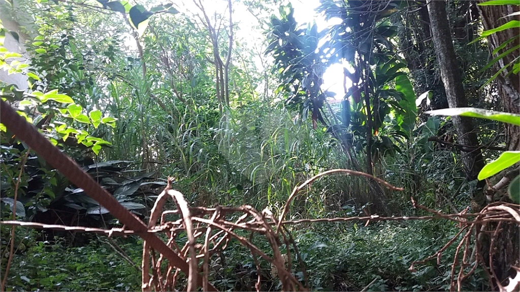 Terreno na Santa Terezinha