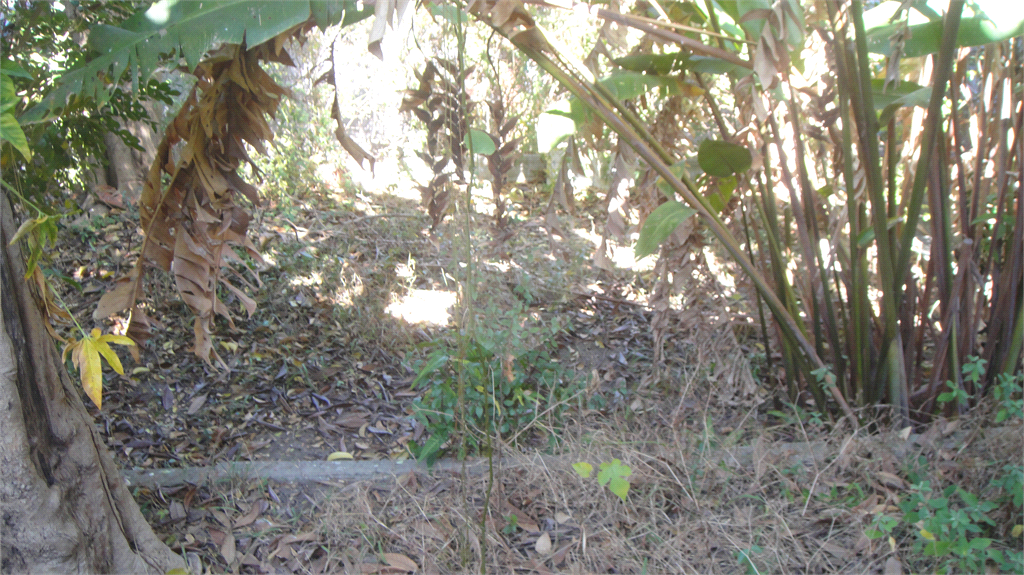 Terreno na Santa Terezinha