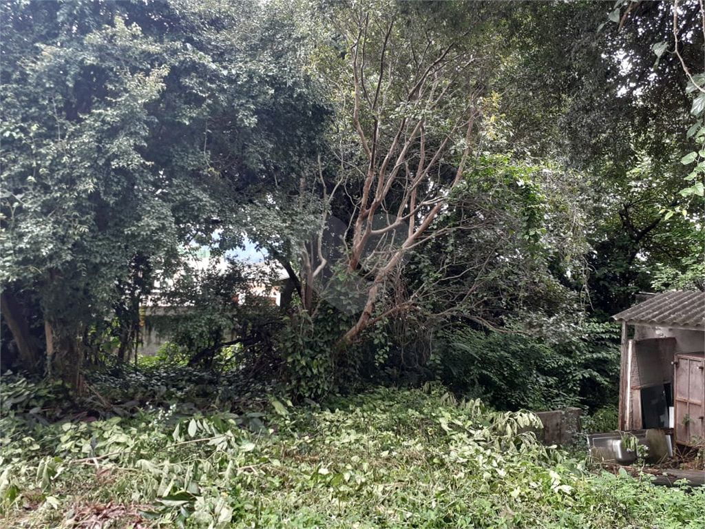 Terreno no Tucuruvi